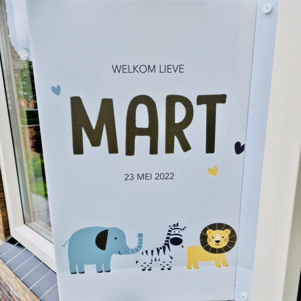 Geboortebord raam BYILSE – Eigen ontwerp of op maat - Afbeelding 4